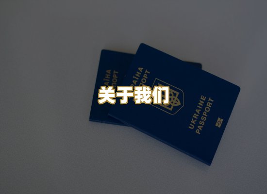 关于我们