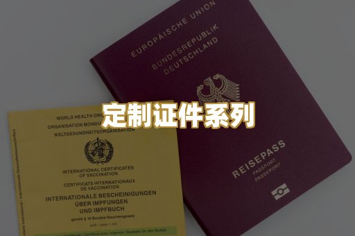 定制证件系列